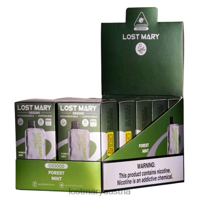 Lost Mary OS5000 Glanz Waldminze- Lost Mary Geschmack 24NB29
